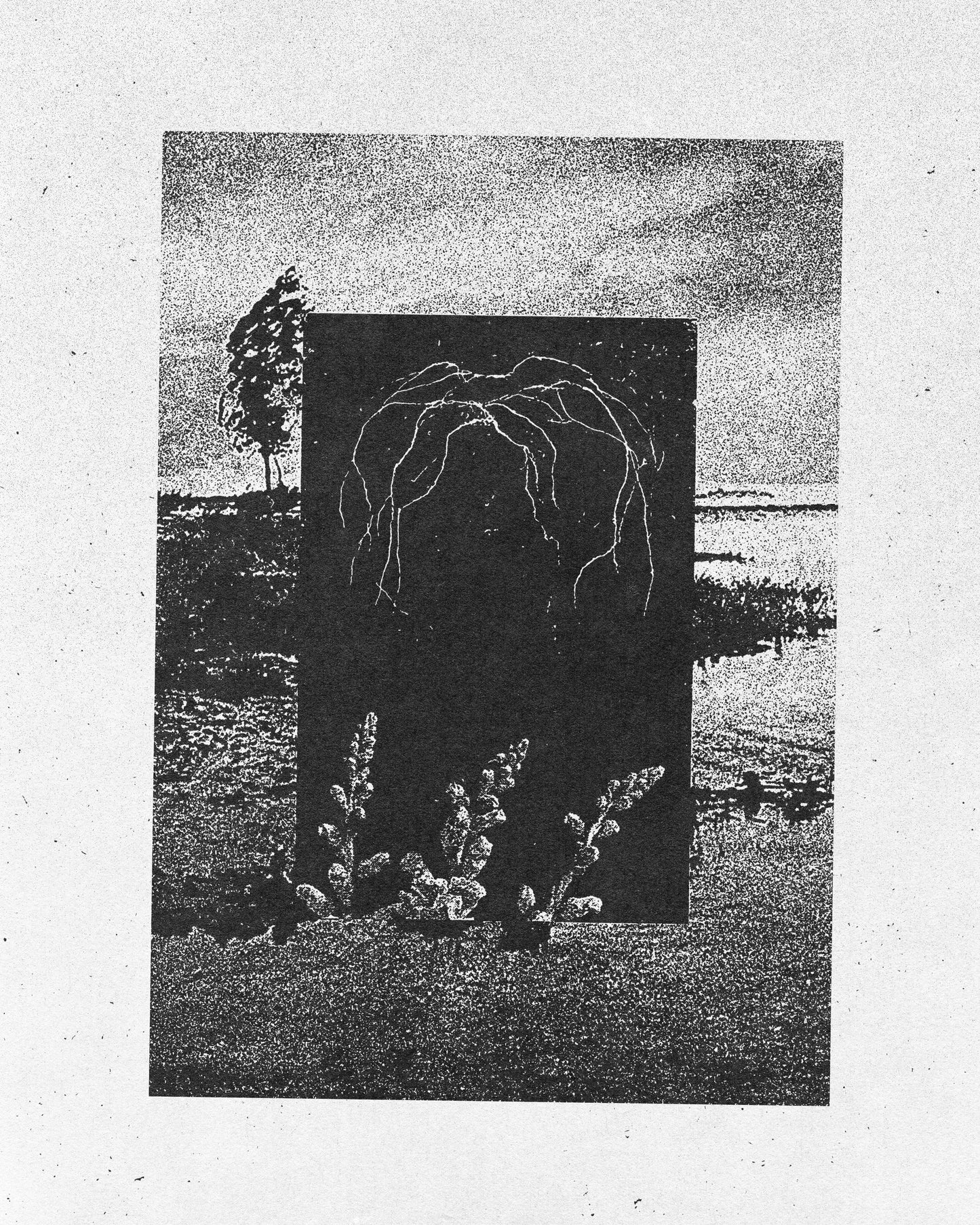 Framed Collage