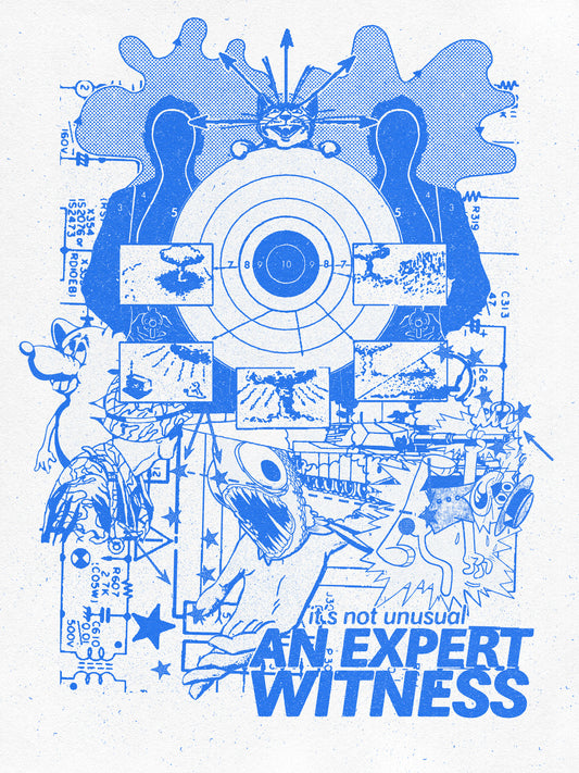 An Expert Witness Poster